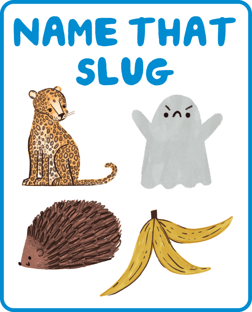 Name that slug activity sheet